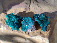 Natural Dioptase On Dolomite Specimens x 12 From Mashamba East Mine, Congo