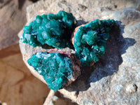 Natural Dioptase On Dolomite Specimens x 12 From Mashamba East Mine, Congo