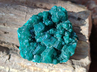 Natural Dioptase On Dolomite Specimens x 12 From Mashamba East Mine, Congo