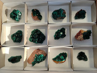 Natural Dioptase On Dolomite Specimens x 12 From Mashamba East Mine, Congo