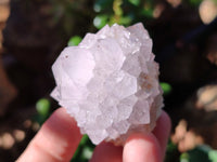 Natural Lilac Cactus Flower Spirit Quartz Clusters x 12 From South Africa