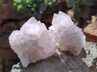Natural Lilac Cactus Flower Spirit Quartz Clusters x 12 From South Africa