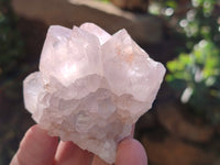 Natural Lilac Cactus Flower Spirit Quartz Clusters x 12 From South Africa