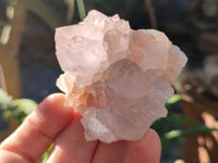 Natural Lilac Cactus Flower Spirit Quartz Clusters x 12 From South Africa