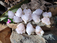 Natural Lilac Cactus Flower Spirit Quartz Clusters x 12 From South Africa