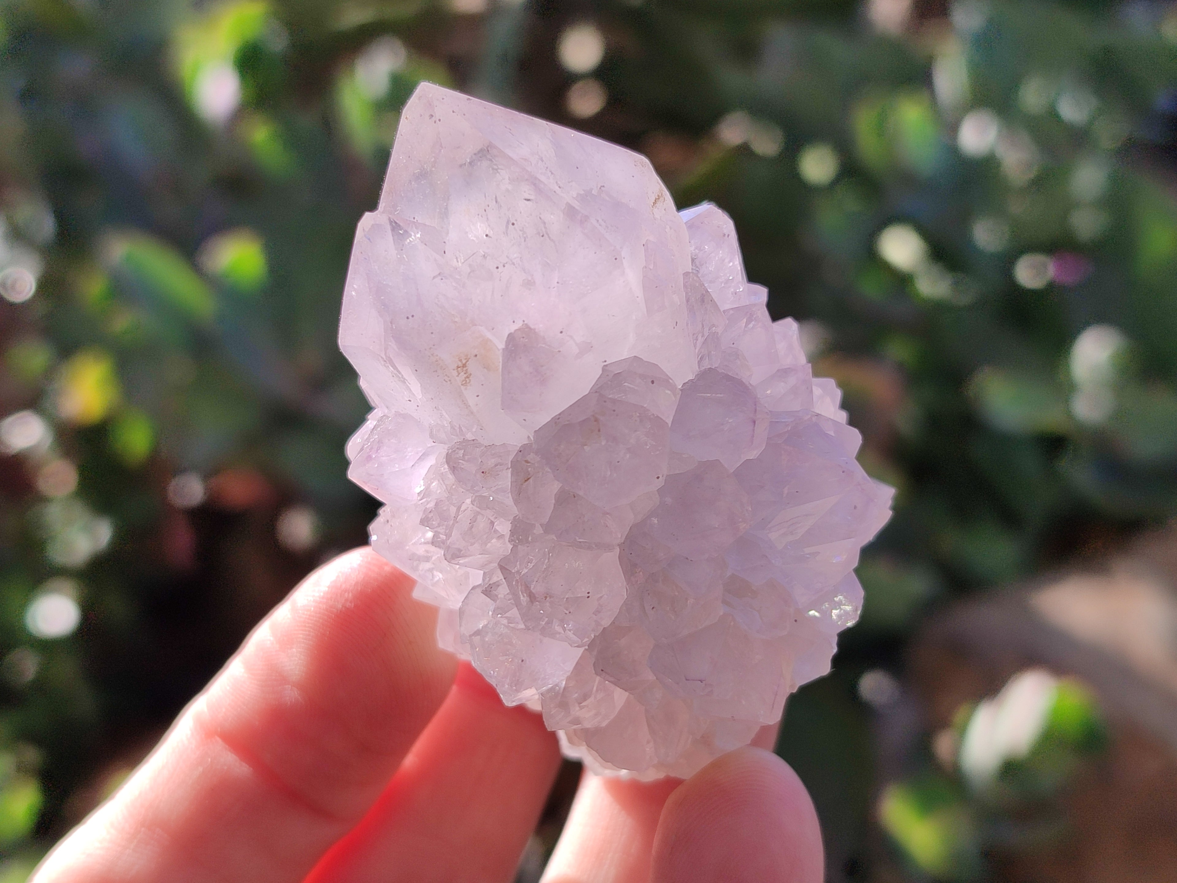 Natural Lilac Cactus Flower Spirit Quartz Clusters x 12 From South Africa - Toprock Gemstones and Minerals 