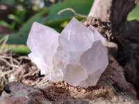 Natural Lilac Cactus Flower Spirit Quartz Clusters x 12 From South Africa