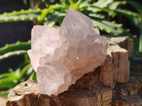 Natural Lilac Cactus Flower Spirit Quartz Clusters x 12 From South Africa