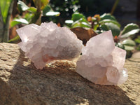 Natural Lilac Cactus Flower Spirit Quartz Clusters x 12 From South Africa