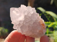 Natural Lilac Cactus Flower Spirit Quartz Clusters x 12 From South Africa