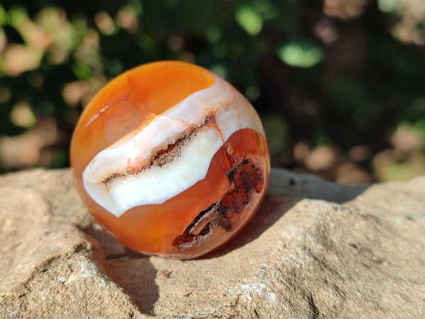 Polished Mix of Selected Sphere's x 3 From Madagascar