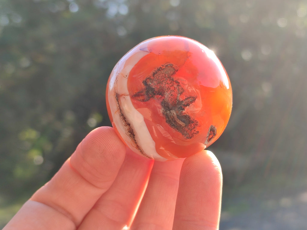 Polished Mix of Selected Sphere's x 3 From Madagascar - Toprock Gemstones and Minerals 