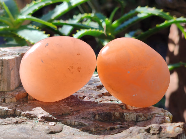 Polished Orange Twist Calcite Palm Stones x 13 From Maevantanana, Madagascar