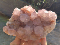 Natural Cactus Flower Ametrine Spirit Quartz Clusters x 2 From South Africa - Toprock Gemstones and Minerals 