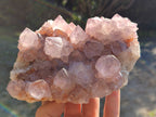 Natural Cactus Flower Ametrine Spirit Quartz Clusters x 2 From South Africa - Toprock Gemstones and Minerals 