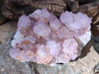 Natural Cactus Flower Ametrine Spirit Quartz Clusters x 2 From South Africa - Toprock Gemstones and Minerals 