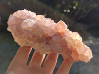 Natural Cactus Flower Ametrine Spirit Quartz Clusters x 2 From South Africa - Toprock Gemstones and Minerals 