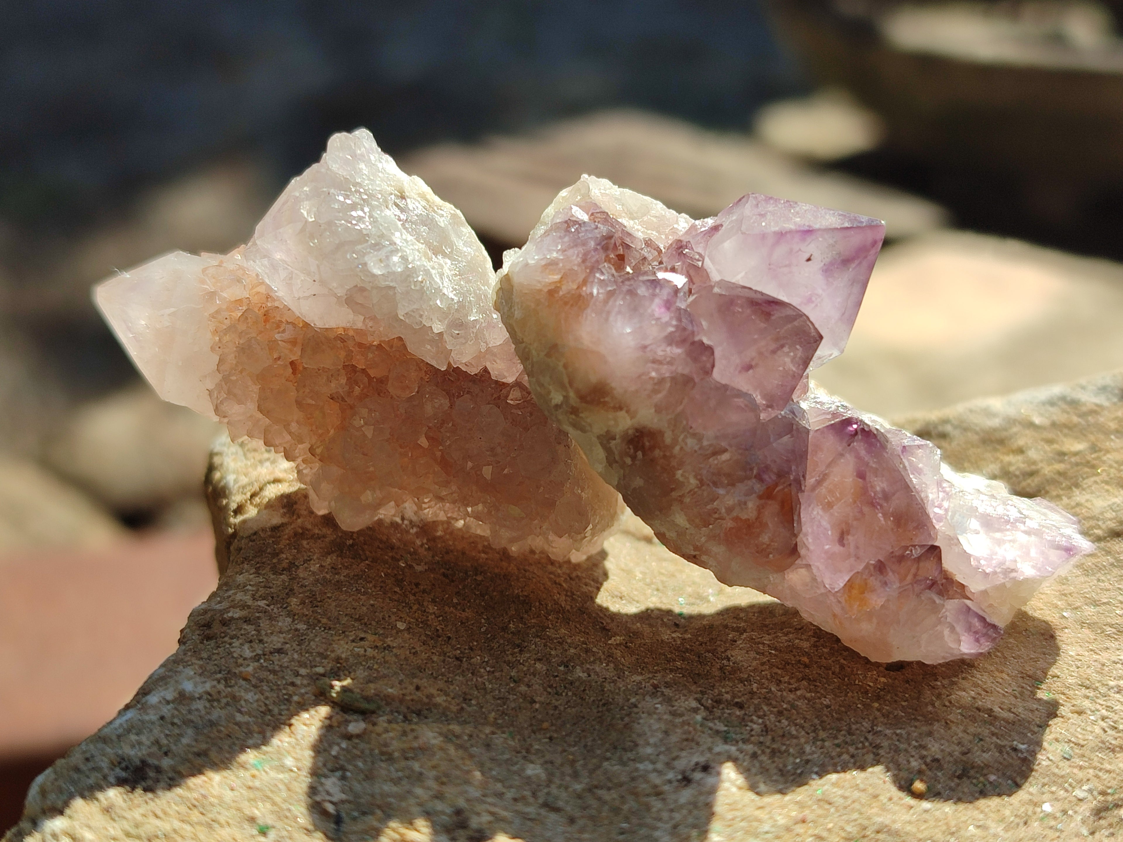 Natural Ametrine Spirit Quartz Clusters x 35 From Boekenhouthoek, South Africa - Toprock Gemstones and Minerals 