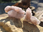 Natural Ametrine Spirit Quartz Clusters x 35 From Boekenhouthoek, South Africa - Toprock Gemstones and Minerals 