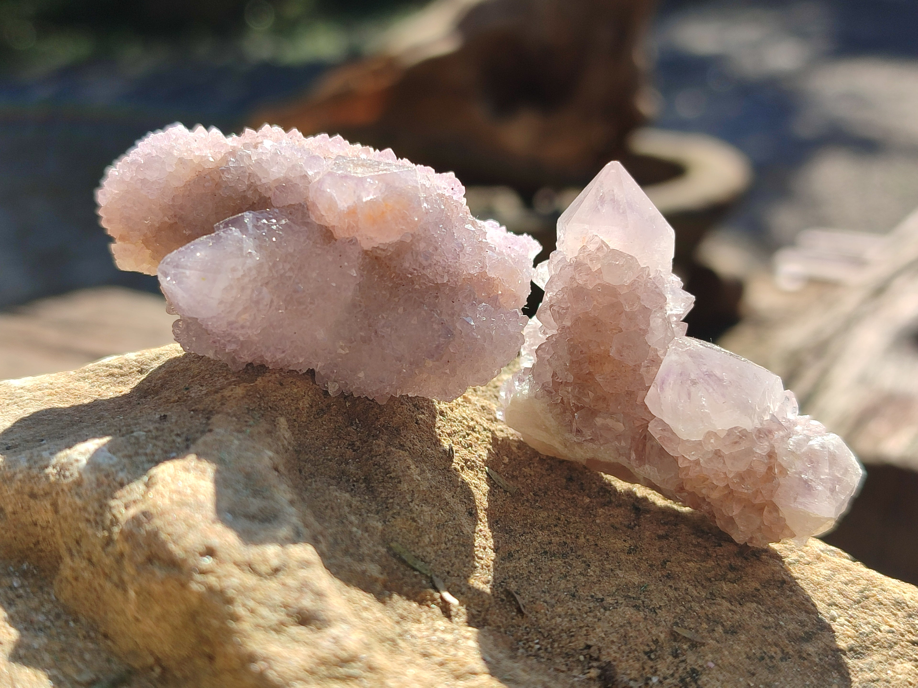 Natural Ametrine Spirit Quartz Clusters x 35 From Boekenhouthoek, South Africa - Toprock Gemstones and Minerals 