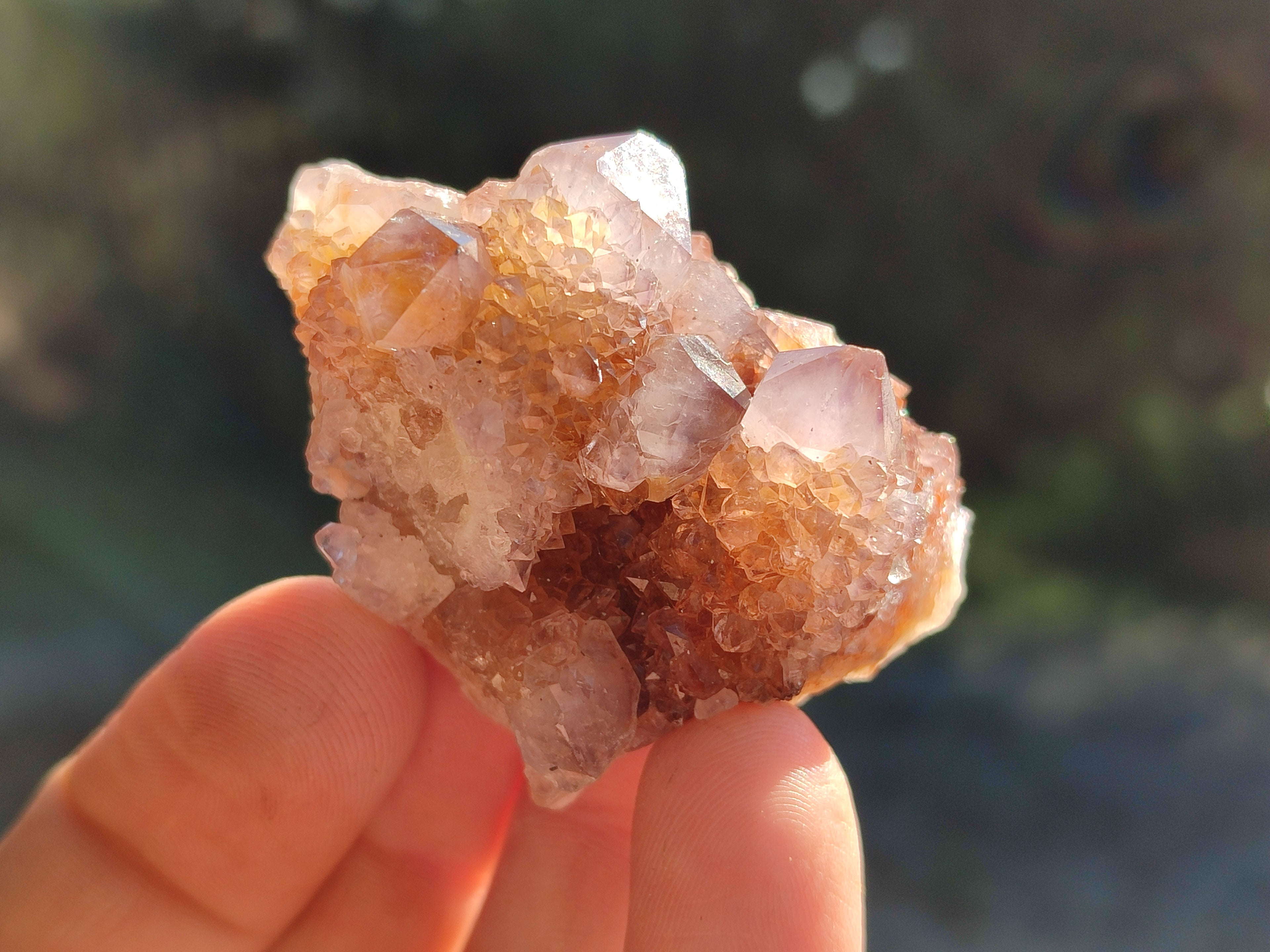 Natural Ametrine Spirit Quartz Clusters x 35 From Boekenhouthoek, South Africa - Toprock Gemstones and Minerals 