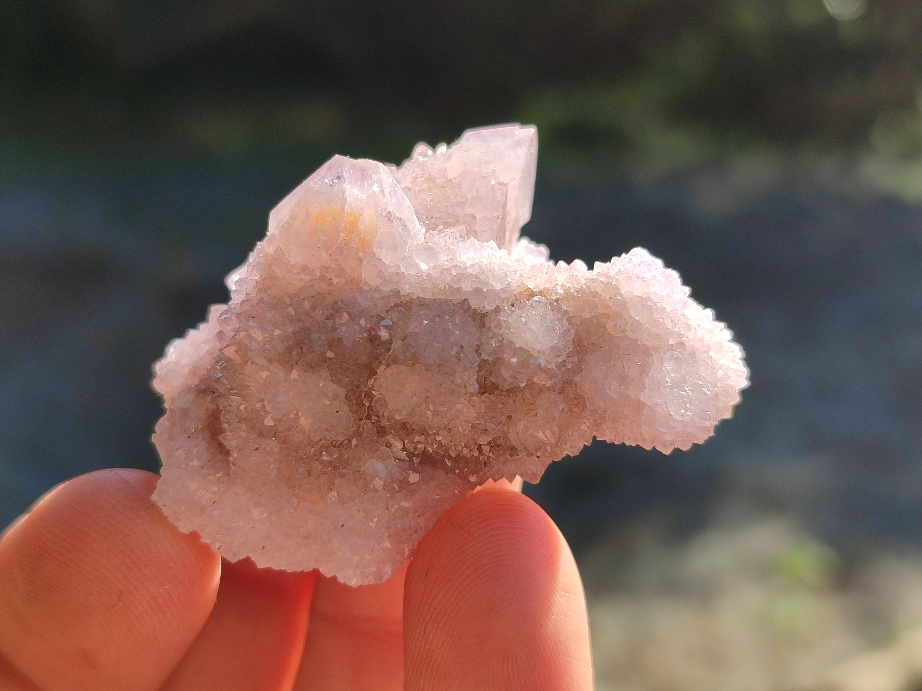 Natural Ametrine Spirit Quartz Clusters x 35 From Boekenhouthoek, South Africa - Toprock Gemstones and Minerals 
