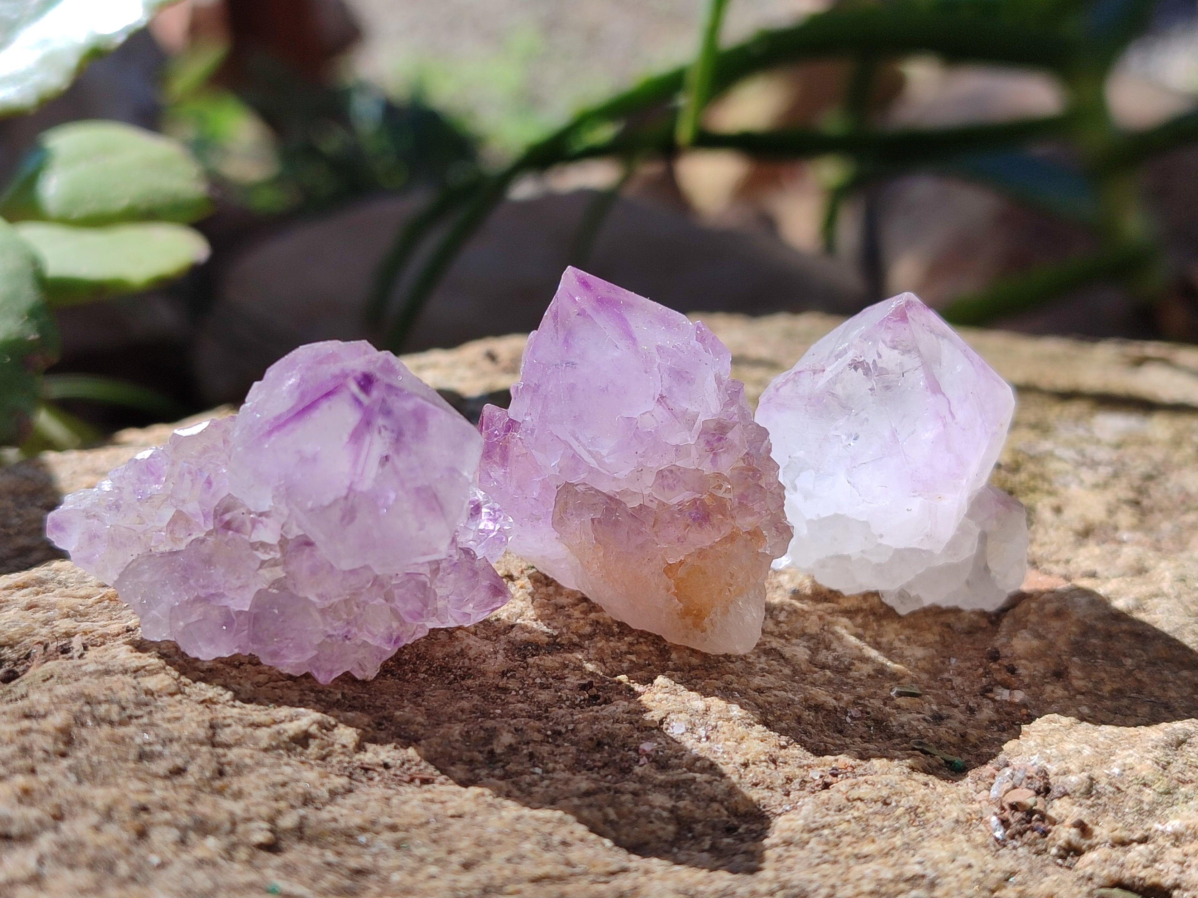 Natural Ametrine Spirit Quartz Clusters x 35 From Boekenhouthoek, South Africa - Toprock Gemstones and Minerals 
