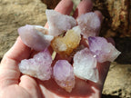 Natural Ametrine Spirit Quartz Clusters x 35 From Boekenhouthoek, South Africa - Toprock Gemstones and Minerals 
