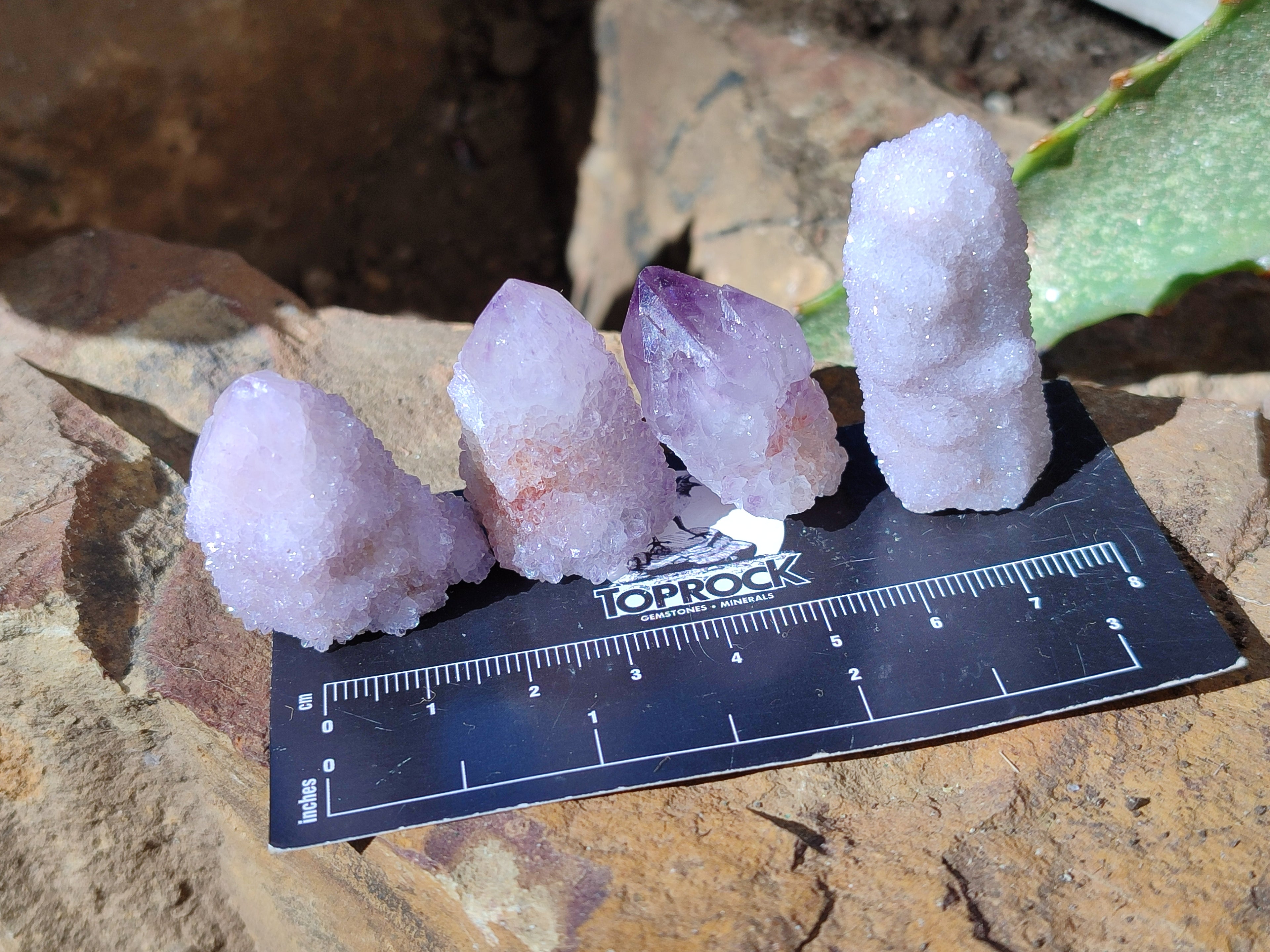 Natural Ametrine Spirit Quartz Clusters x 35 From Boekenhouthoek, South Africa - Toprock Gemstones and Minerals 