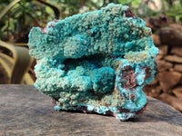 Natural Drusy Coated Chrysocolla with Malachite x 2 From Lupoto Mine, Congo