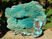 Natural Drusy Coated Chrysocolla with Malachite x 2 From Lupoto Mine, Congo