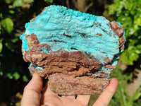 Natural Drusy Coated Chrysocolla with Malachite x 2 From Lupoto Mine, Congo