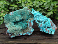 Natural Drusy Coated Chrysocolla with Malachite x 2 From Lupoto Mine, Congo