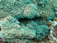 Natural Drusy Coated Chrysocolla with Malachite x 2 From Lupoto Mine, Congo
