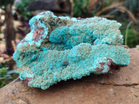 Natural Drusy Coated Chrysocolla with Malachite x 2 From Lupoto Mine, Congo