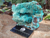 Natural Drusy Coated Chrysocolla with Malachite x 2 From Lupoto Mine, Congo