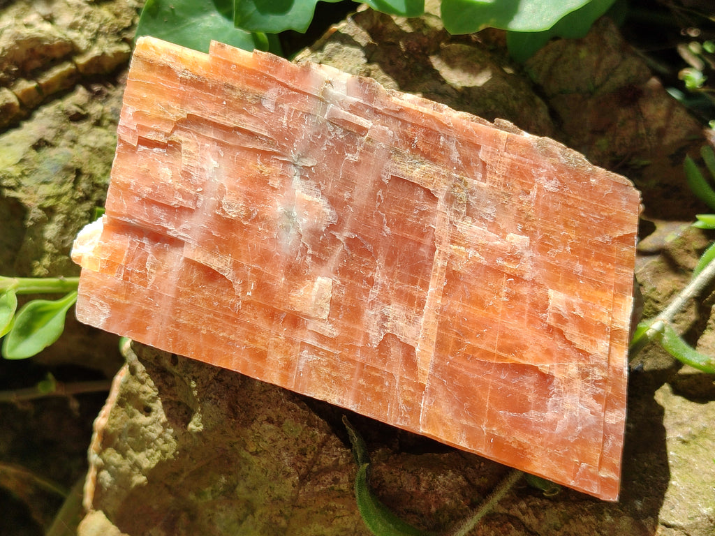 Natural Sunset Orange Calcite Specimens x 4 From Spitzkop, Namibia - Toprock Gemstones and Minerals 