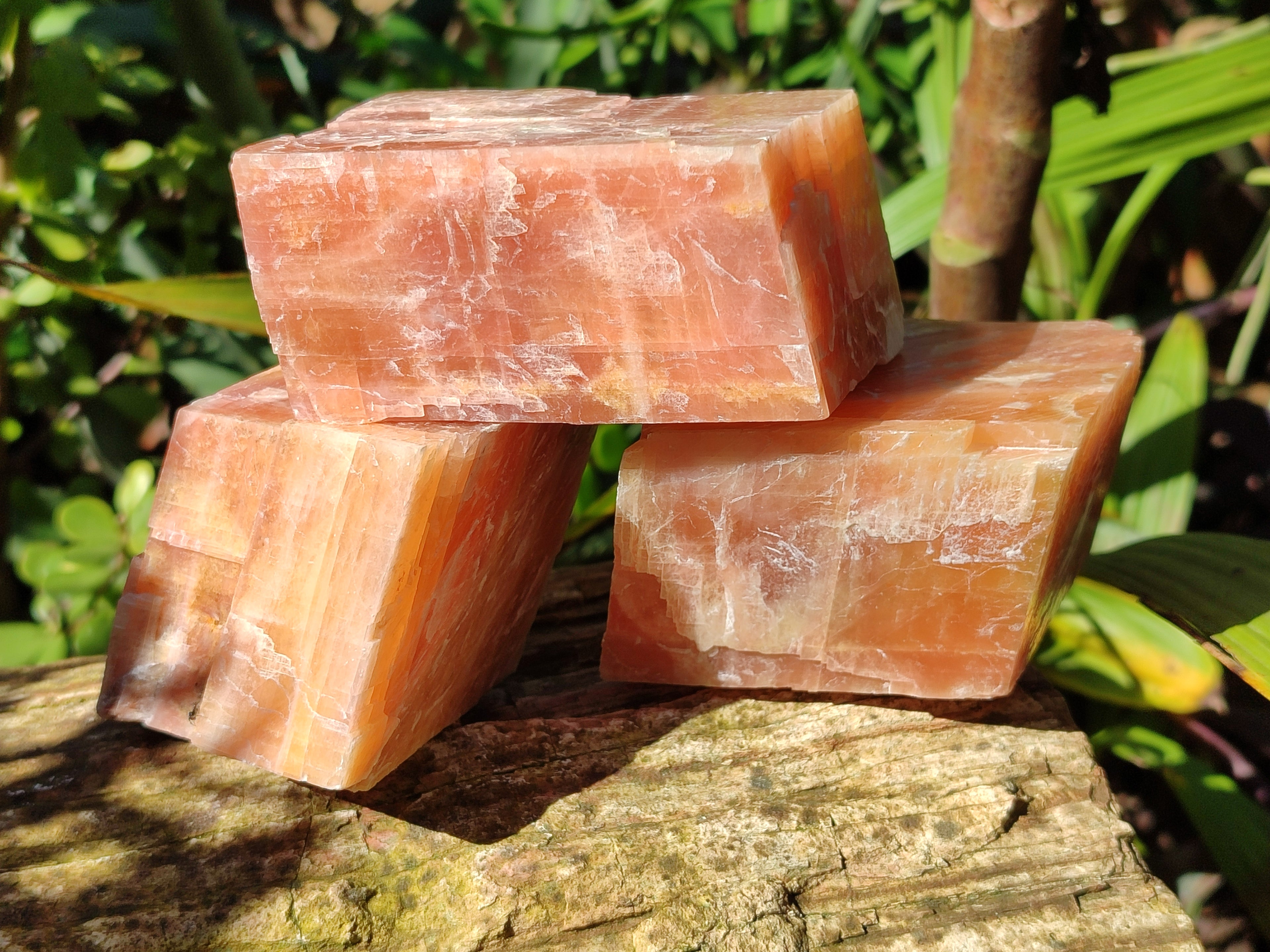 Natural Sunset Orange Calcite Specimens x 4 From Spitzkop, Namibia - Toprock Gemstones and Minerals 