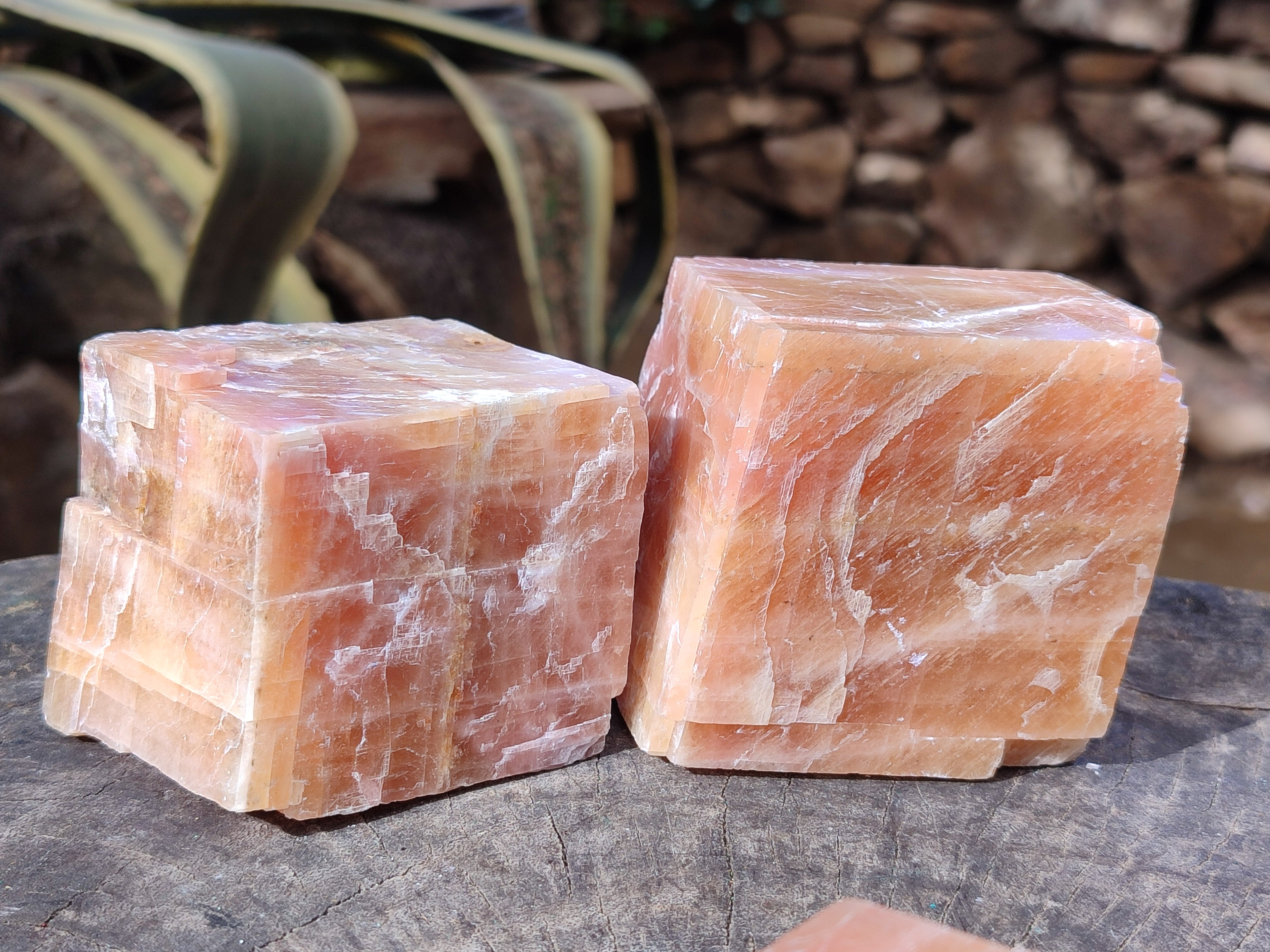 Natural Sunset Orange Calcite Specimens x 4 From Spitzkop, Namibia - Toprock Gemstones and Minerals 