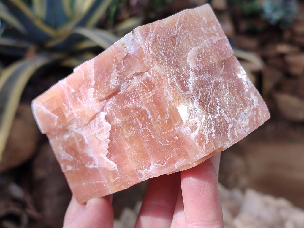Natural Sunset Orange Calcite Specimens x 4 From Spitzkop, Namibia - Toprock Gemstones and Minerals 