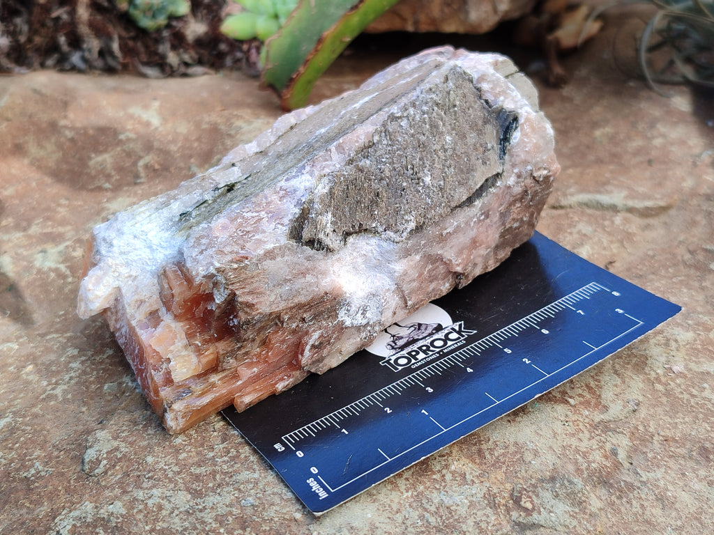Natural Sunset Orange Calcite Specimens x 4 From Spitzkop, Namibia - Toprock Gemstones and Minerals 