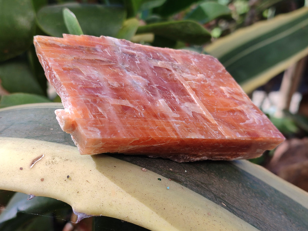 Natural Sunset Orange Calcite Specimens x 4 From Spitzkop, Namibia - Toprock Gemstones and Minerals 