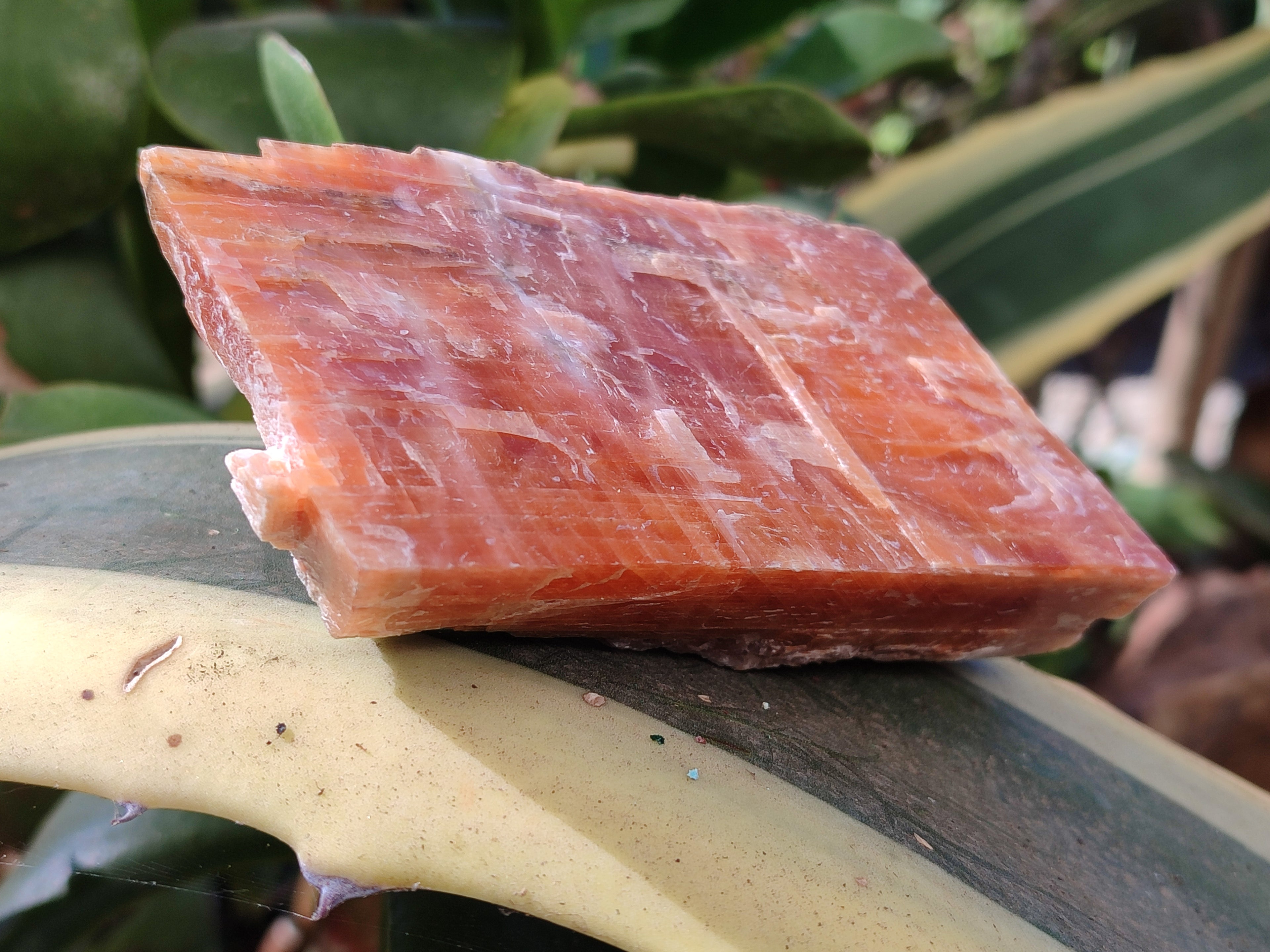 Natural Sunset Orange Calcite Specimens x 4 From Spitzkop, Namibia - Toprock Gemstones and Minerals 
