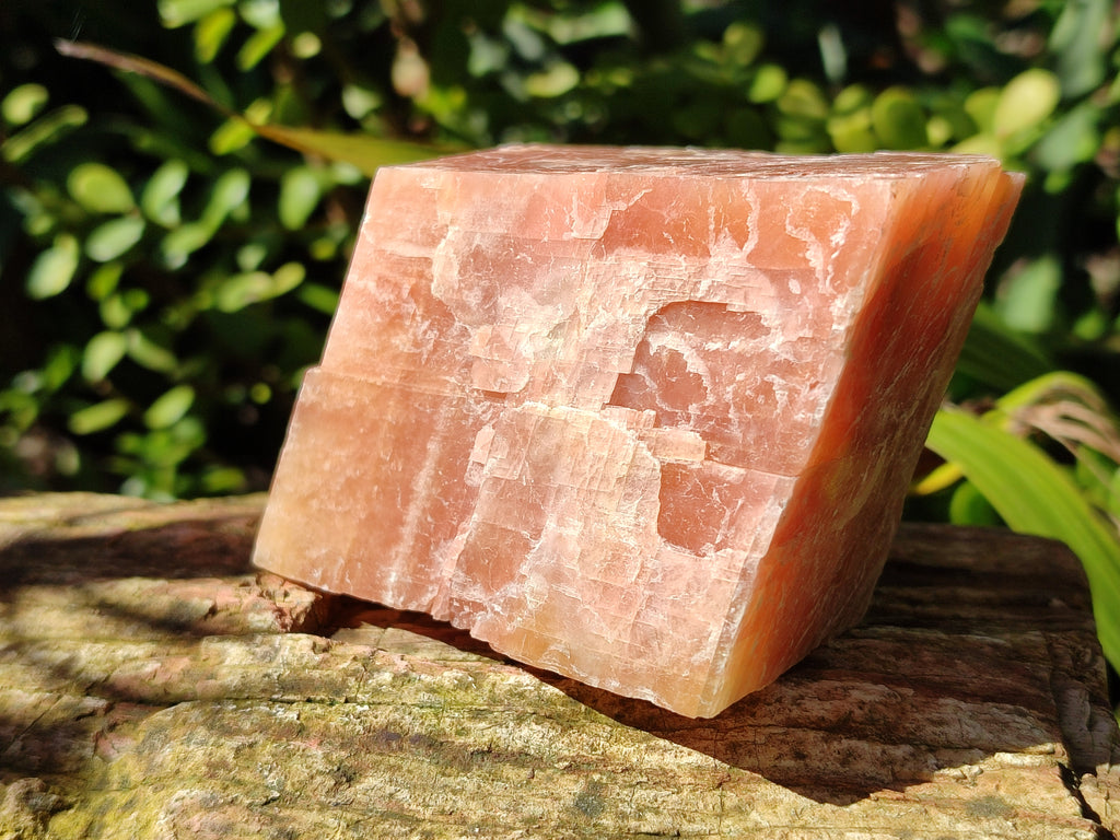 Natural Sunset Orange Calcite Specimens x 4 From Spitzkop, Namibia - Toprock Gemstones and Minerals 