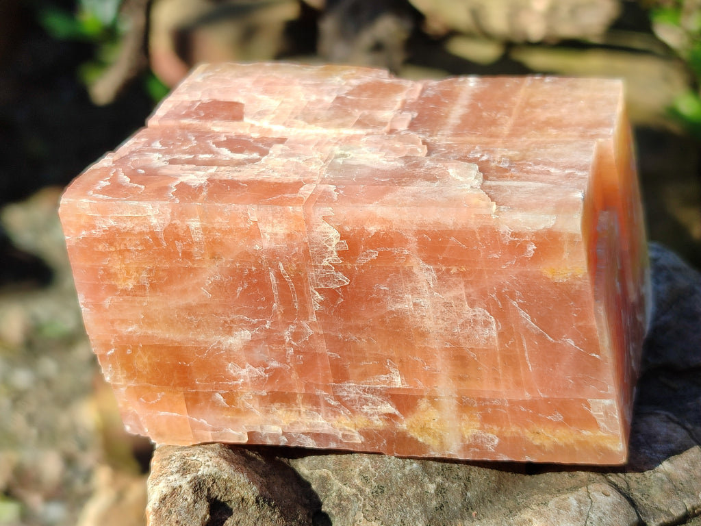 Natural Sunset Orange Calcite Specimens x 4 From Spitzkop, Namibia - Toprock Gemstones and Minerals 