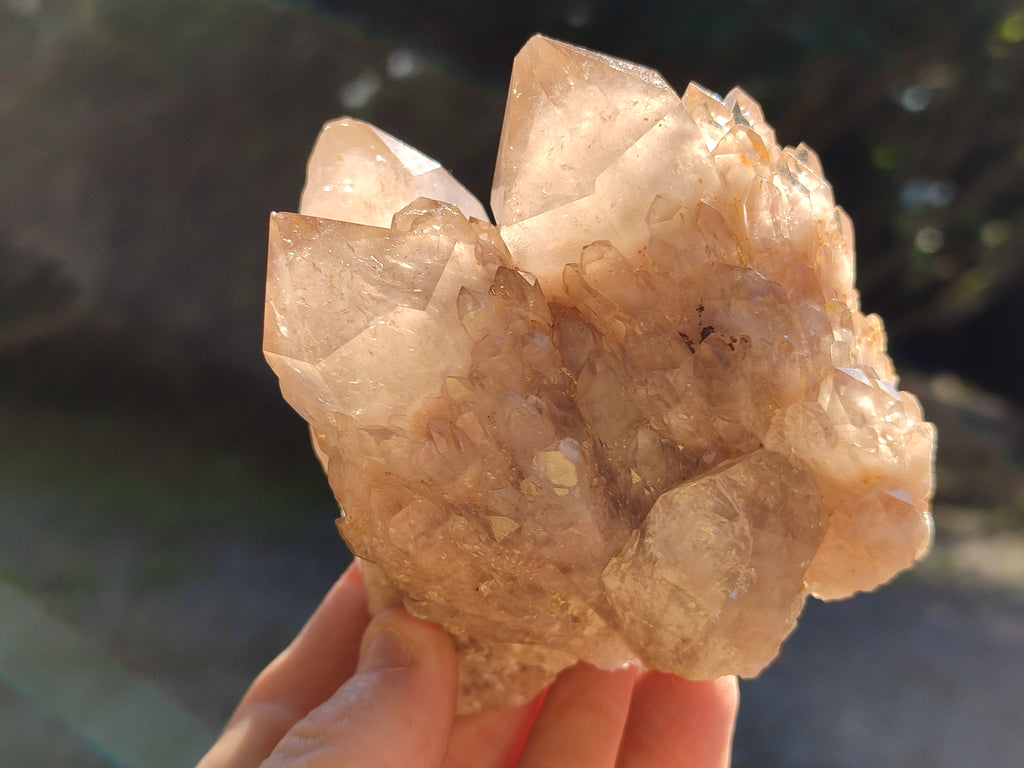 Natural Cascading Smokey Phantom Quartz Clusters x 2 From Luena, Congo - Toprock Gemstones and Minerals 