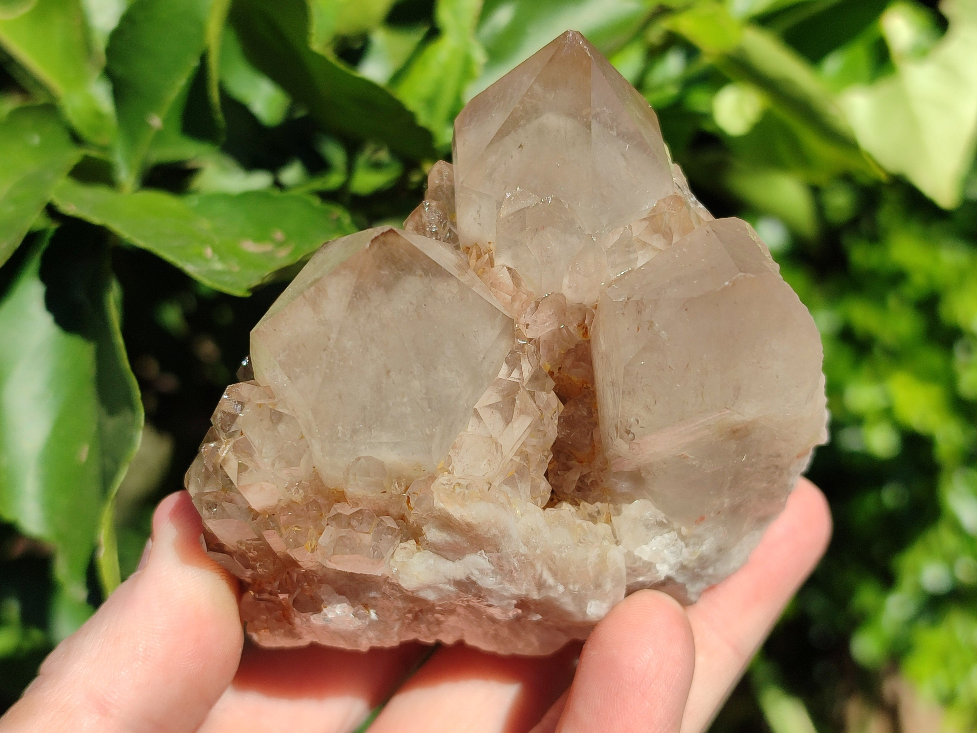 Natural Cascading Smokey Phantom Quartz Clusters x 2 From Luena, Congo - Toprock Gemstones and Minerals 