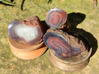 Polished On One Side Red Sashe River Agate Nodules x 20 From Zimbabwe - Toprock Gemstones and Minerals 