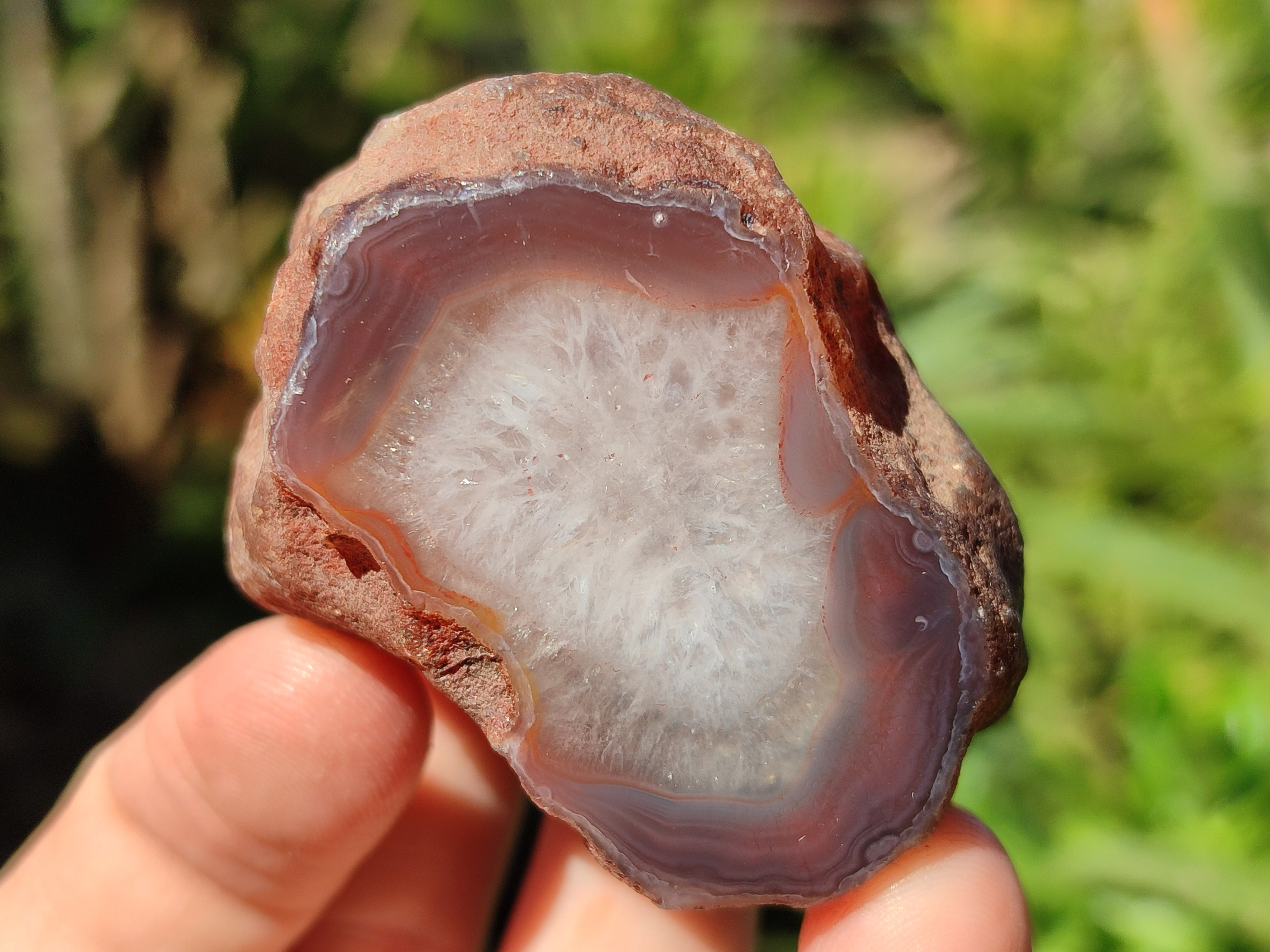 Polished On One Side Red Sashe River Agate Nodules x 20 From Zimbabwe - Toprock Gemstones and Minerals 