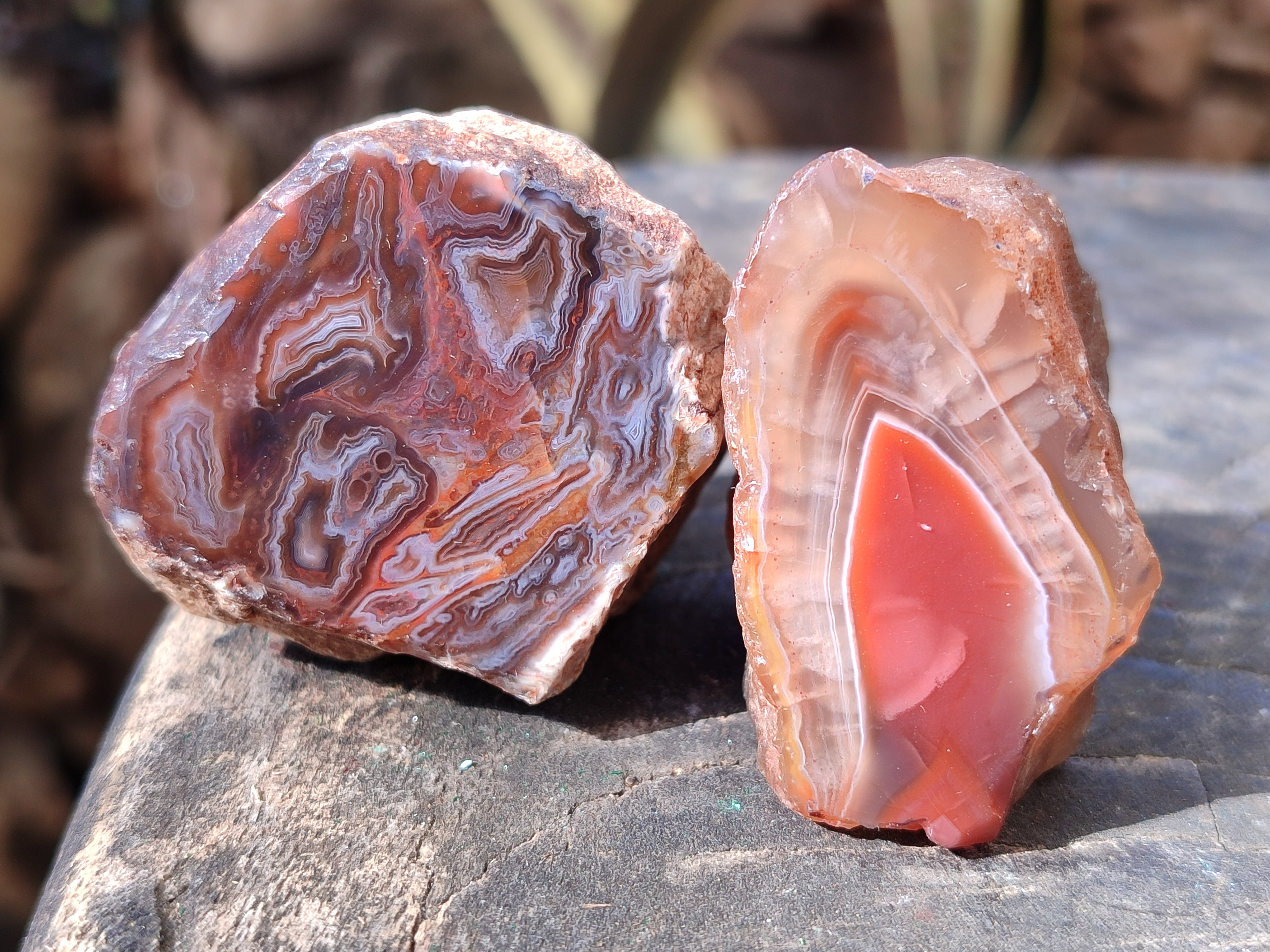Polished On One Side Red Sashe River Agate Nodules x 20 From Zimbabwe - Toprock Gemstones and Minerals 